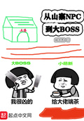 從山寨npc到大BOSS