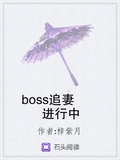 boss追妻進行中