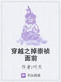 穿越之掉崇禎面前