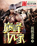巔峰玩家