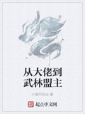 從大佬到武林盟主