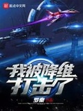 我被降維打擊了
