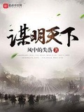 謀明天下