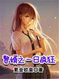 贅婿之一日瘋狂（葉秋納蘭芷若）