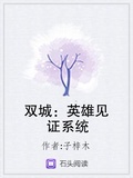 雙城：英雄見證系統
