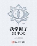 我掌握了雷電術