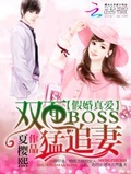 假婚真愛：雙面boss猛追妻