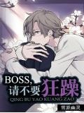 boss,請不要狂躁