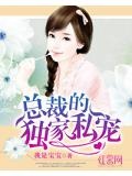 總裁的獨家私寵