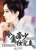 燃情掠愛：冷禽帝少獨寵妻