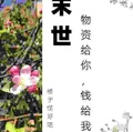 末世：物資給你，錢給我