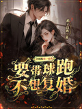 爺別跪了，夫人要帶球跑不想復婚