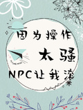 因為操作太騷，npc讓我滾