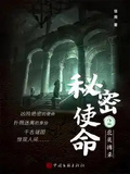 秘密使命2：北美搏殺