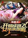 海賊王：開局成路飛，女帝來倒追