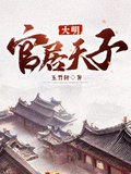 大明：官居天子