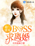 豪門盛寵：BOSS，求離婚