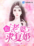 豪門替嫁：老婆，求復婚