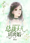 隱婚蜜寵：總裁大人請離婚