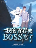 我的青春被BOSS吃了