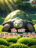 網游：我，開局竟然成為一隻烏龜