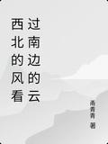 西北的風看過南邊的雲