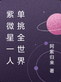 紫微星一人單挑全世界