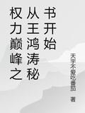 權力巔峰之從王鴻濤秘書開始