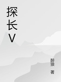 探長V