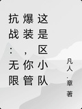 抗戰：無限爆裝，你管這是區小隊