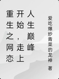 重生之網戀開始，走上人生巔峰