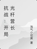 抗戰：開局光桿營長