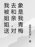 明星姐姐送我和親，對象總裁千金