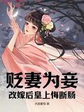 貶妻為妾，改嫁后皇上悔斷腸