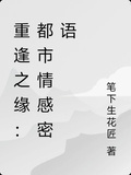 重逢之緣：都市情感密語