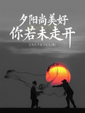 夕陽尚美好你若未走開