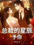 總裁的星辰予你