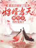瞞著首輔懷了崽，招婿當天被搶親