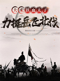 大宋鐵血太子，力挺岳飛北伐！