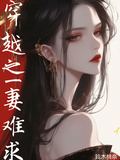 穿越之一妻難求