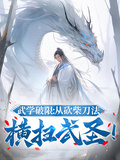 武學破限：從砍柴刀法橫掃武聖！