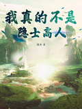 我真的不是隱士高人