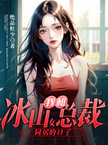 我和冰山女總裁同居的日子