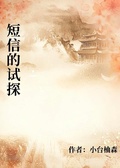 簡訊的試探
