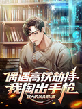 偶遇高鐵劫持，我掏出手槍