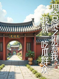四合院之別惹我，我就一吃瓜群眾