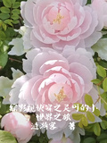 綜影視快穿之靈可的小世界之旅