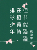 排球少年：在稻荷崎，但節能貓貓