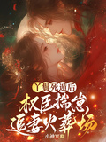 丫鬟死遁后，權臣揣崽追妻火葬場