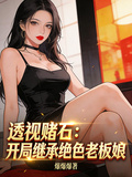 透視賭石：開局繼承絕色老闆娘